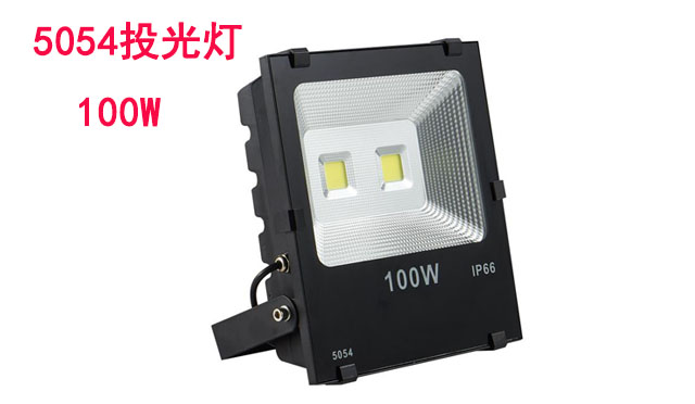 5054投光灯100W成品
